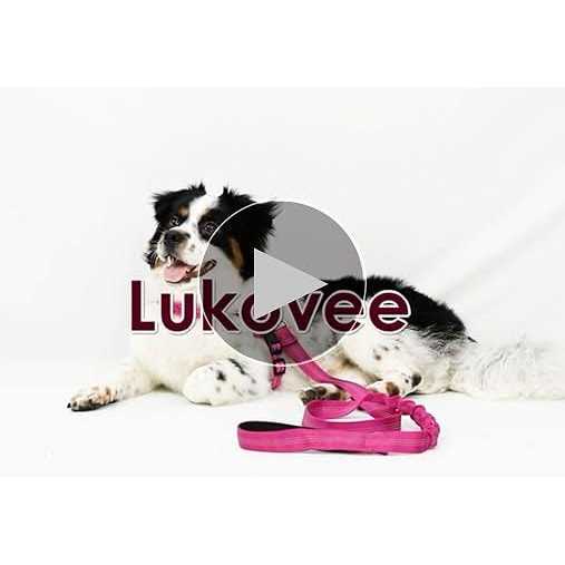 Heavy Duty Adjustable Reflective Dog Harness and Leash N36539