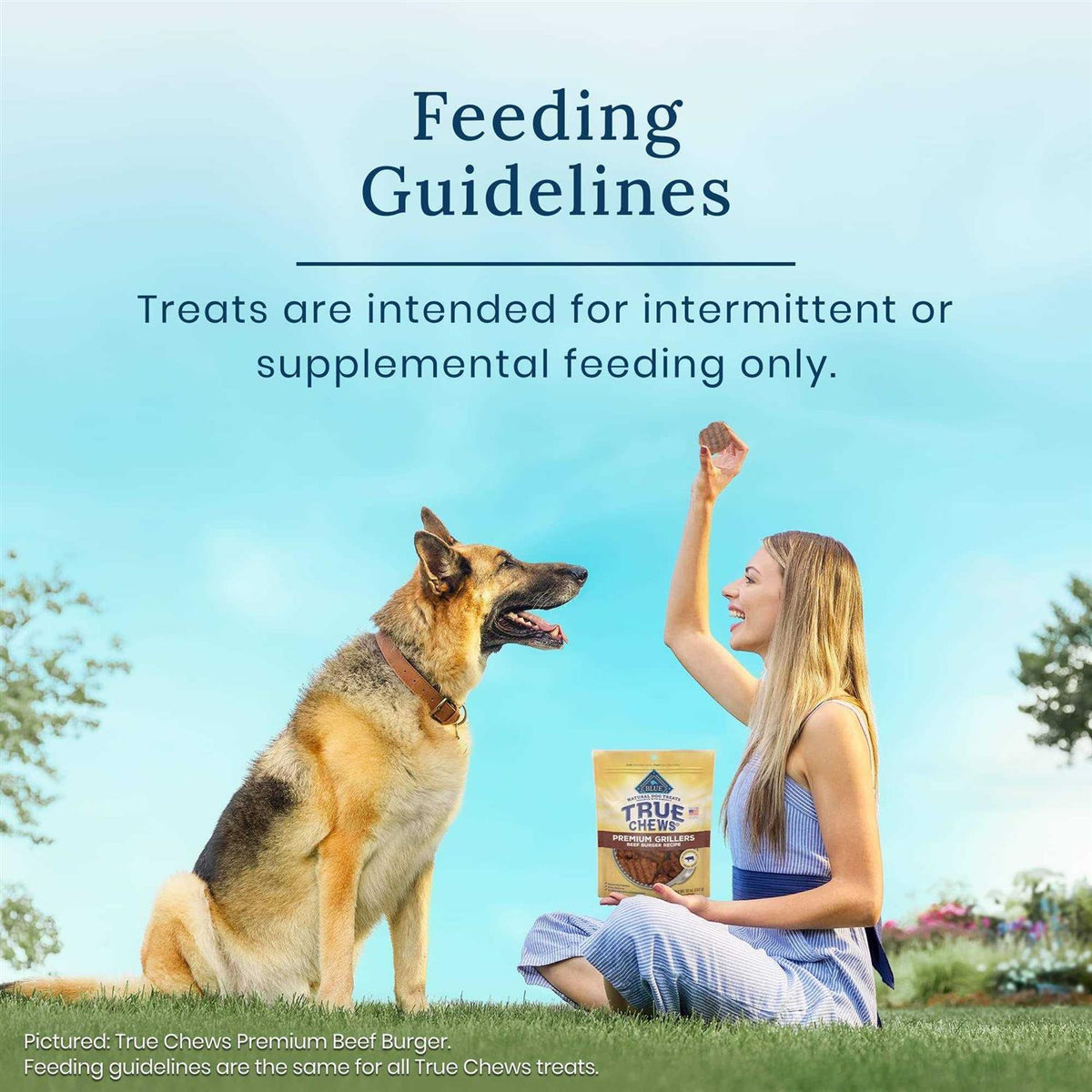 Natural Dog Treats F52520