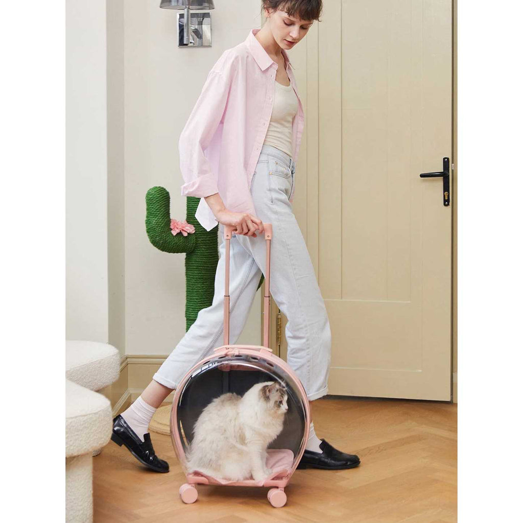 Pink Pet Carrier Q9665