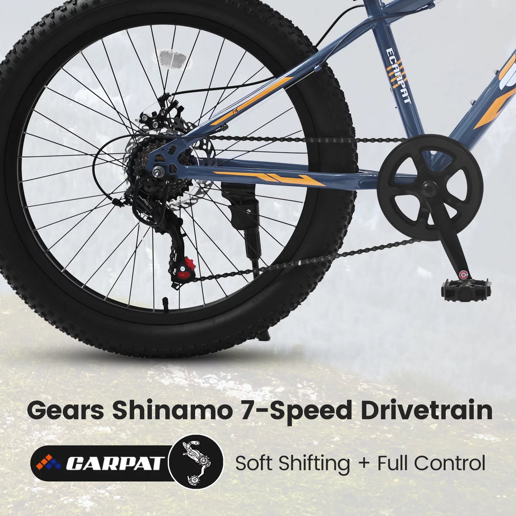 24 inch Mountain Bike with Fat Tires P408