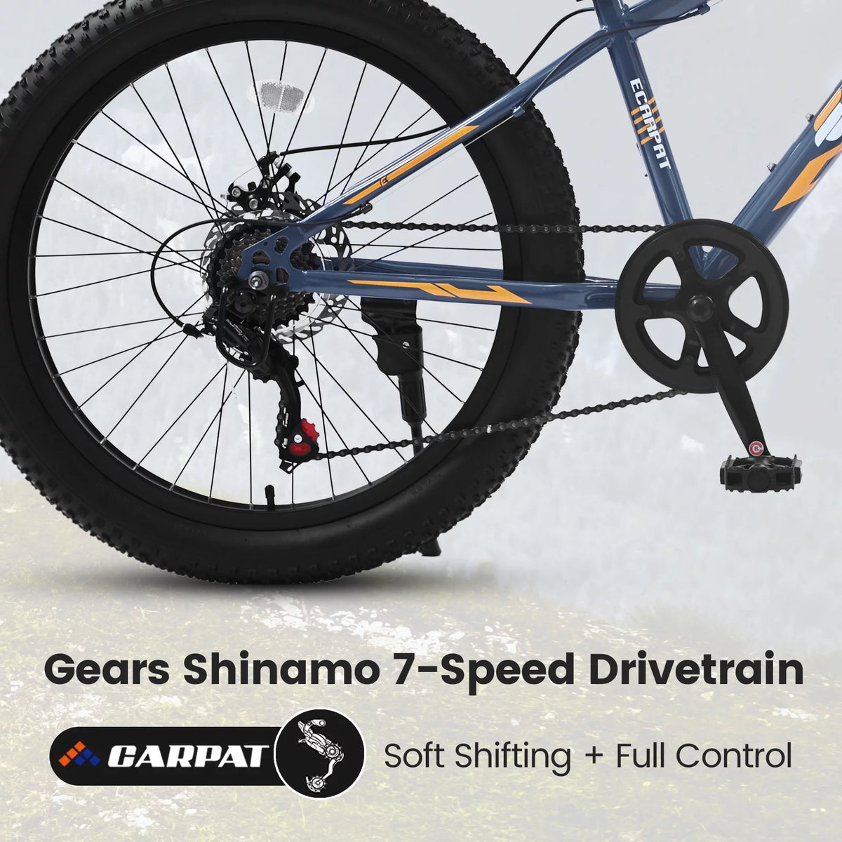24 inch Mountain Bike with Fat Tires P408