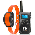 Dog Training Collar with Remote C44955