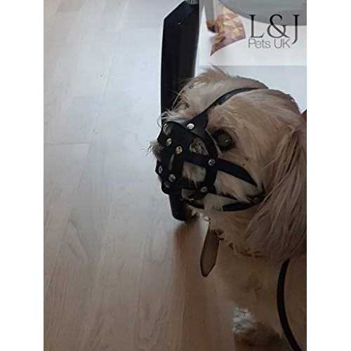 Leather Dog Muzzle Y4305