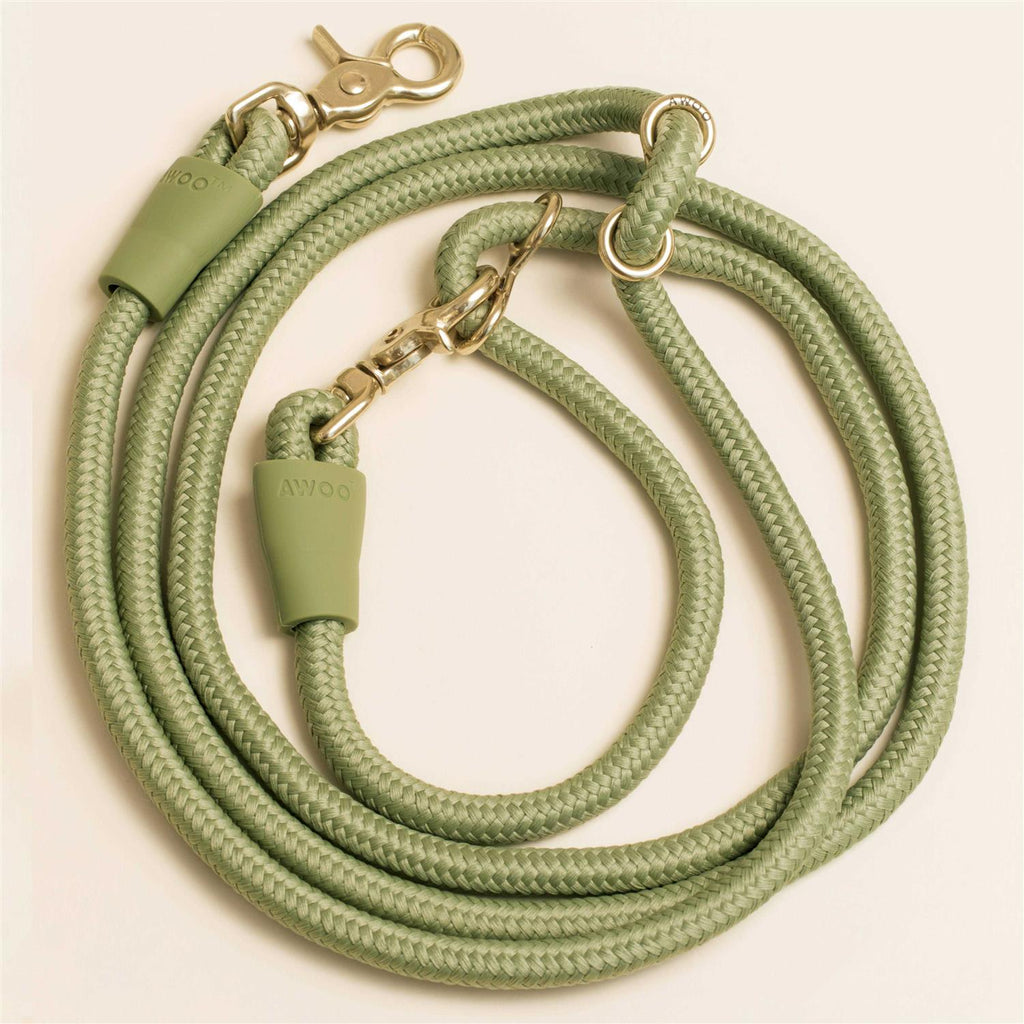 Leash Z52165
