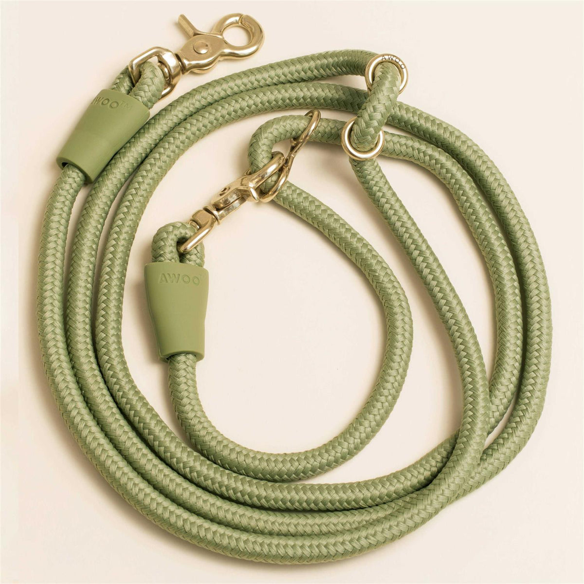 Leash Z52165