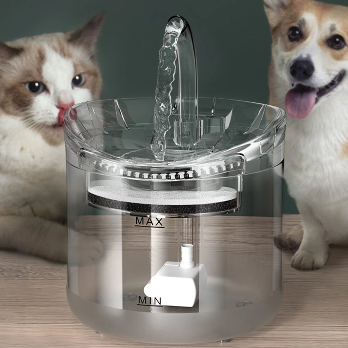 2L Automatic Pet Drinking Fountain Z29867