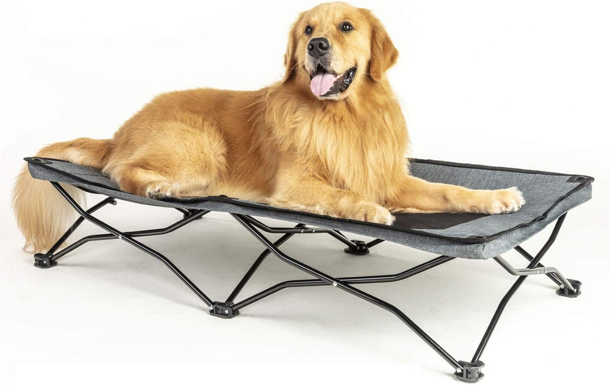47 inches Elevated Dog Bed Cot with Breathable Mesh F29396