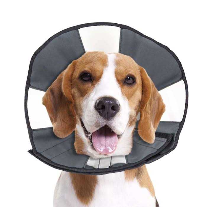 Soft Recovery Collar Q926332