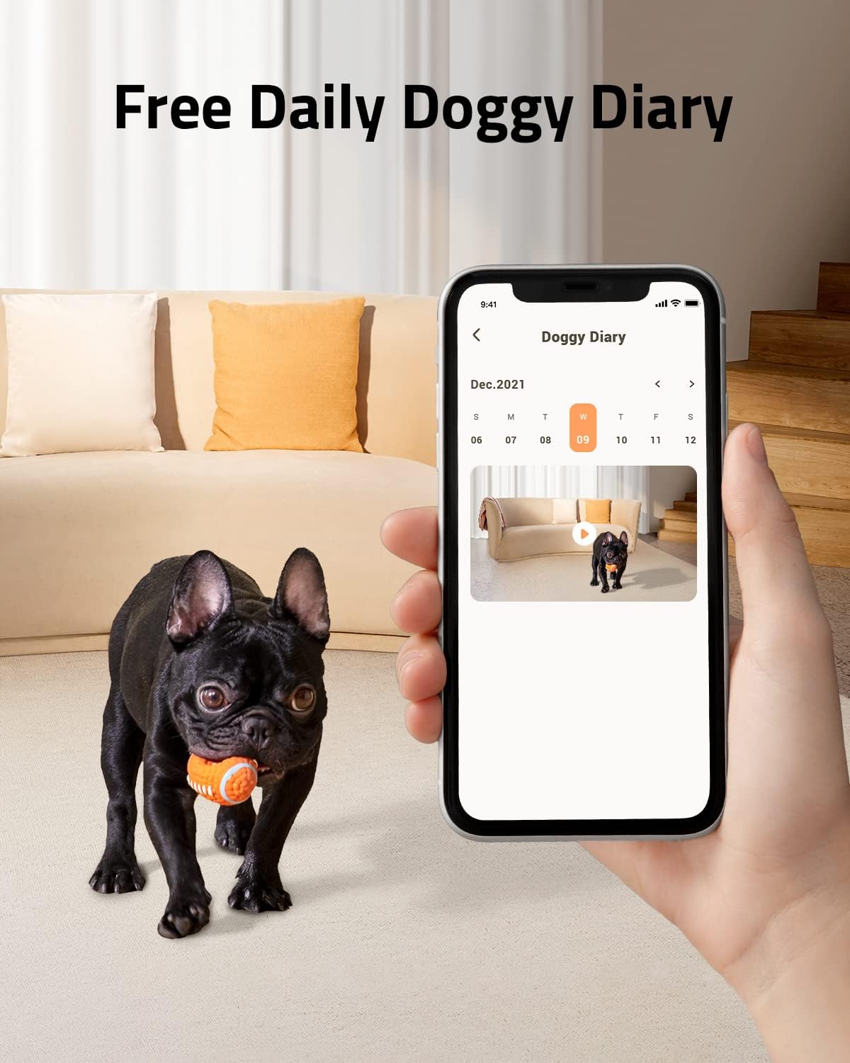 1080p Pet Camera with Treat Tossing, Night Vision, 2-Way Audio P4146