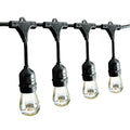 Black 12-Bulb Incandescent String Lights Z9059