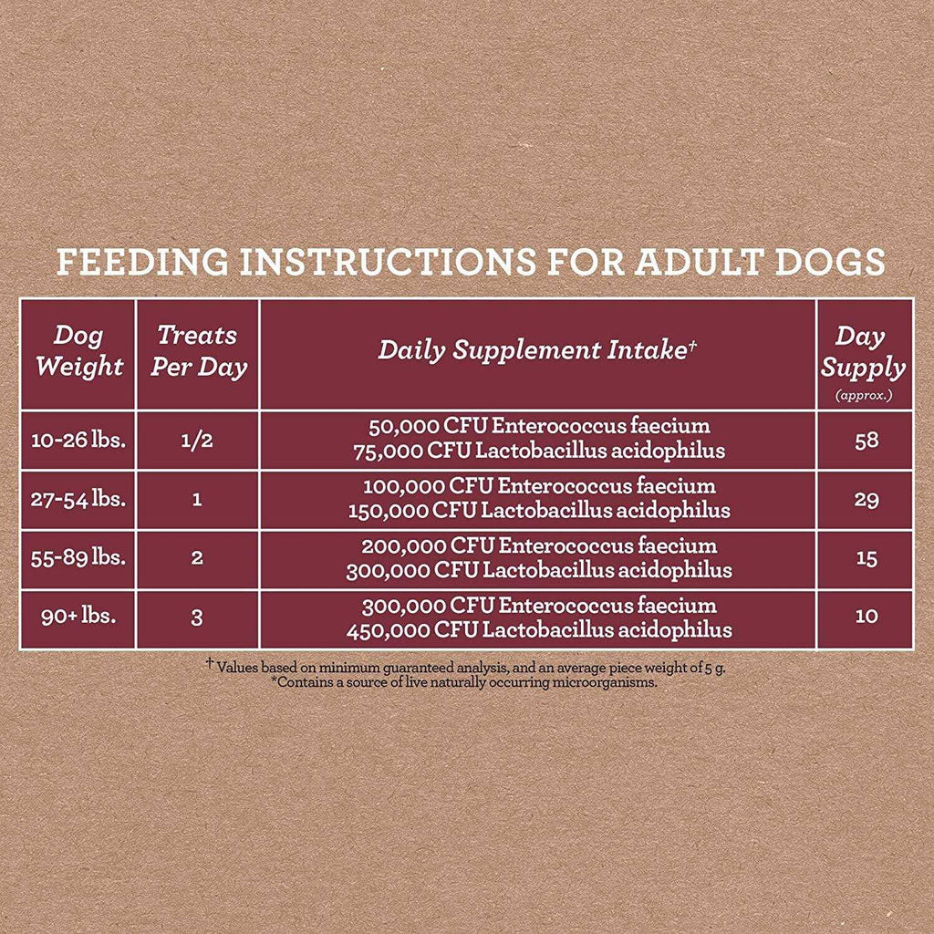 Pumpkin & Ginger Dog Treats Y277088