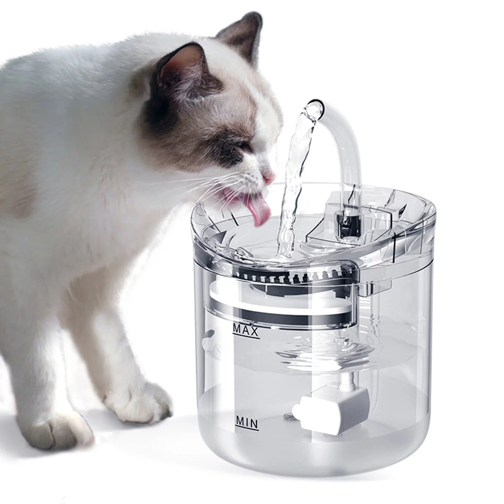 2L Automatic Pet Drinking Fountain Z29867