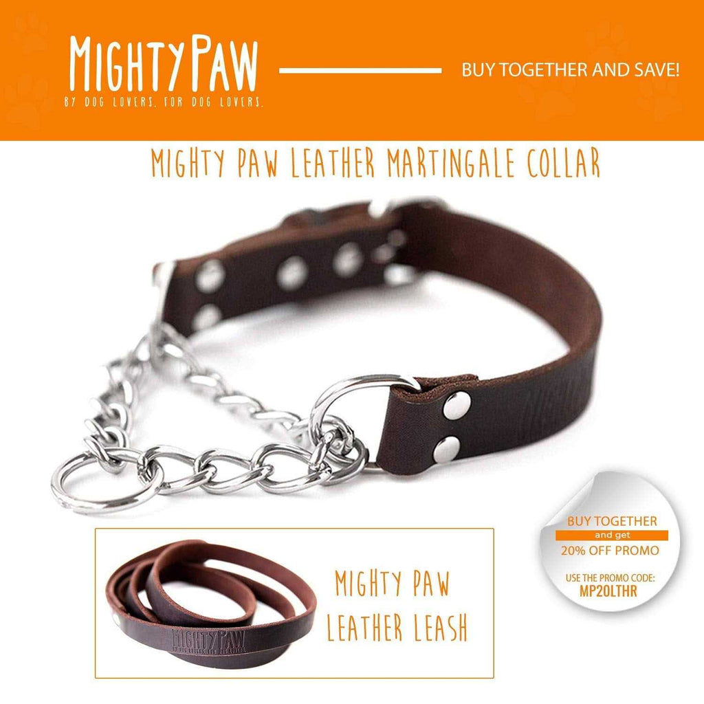 Leather Martingale Collar S13269