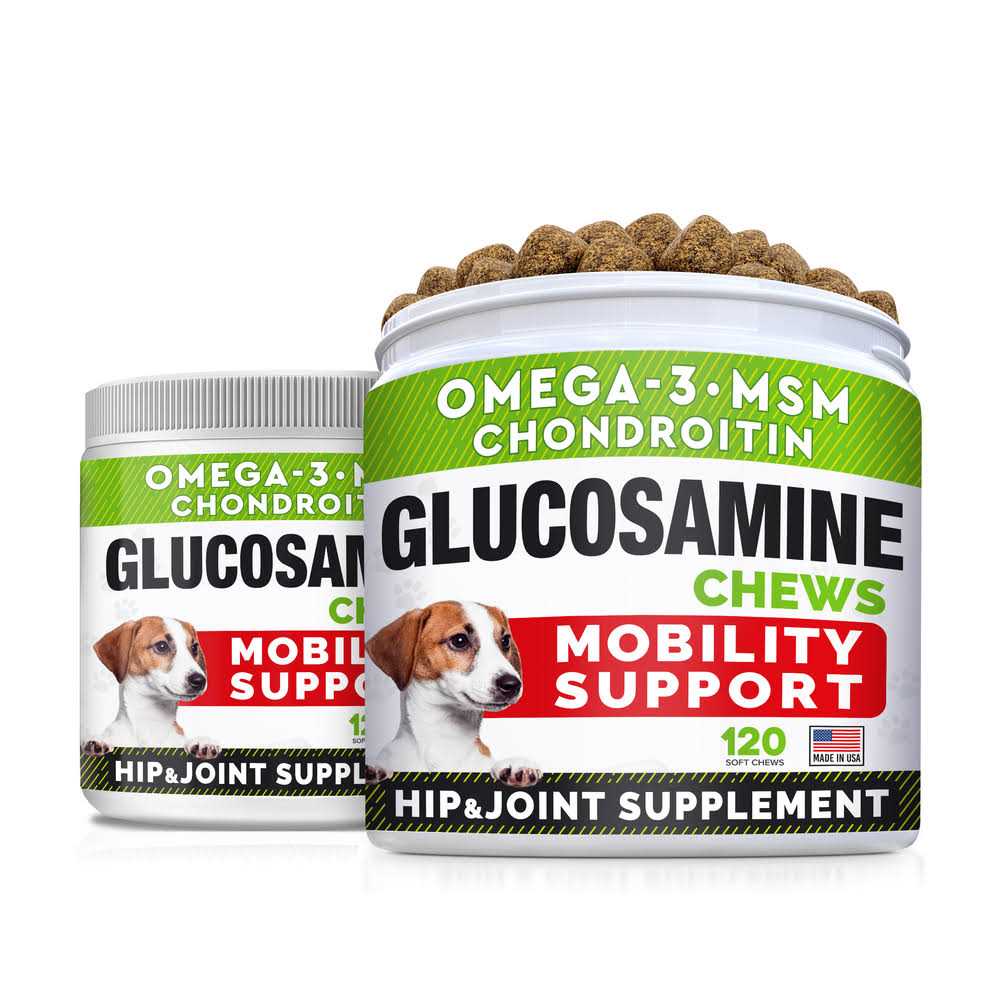 Glucosamine Chews R605500