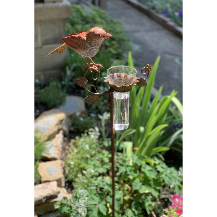 Rain Gauge C817