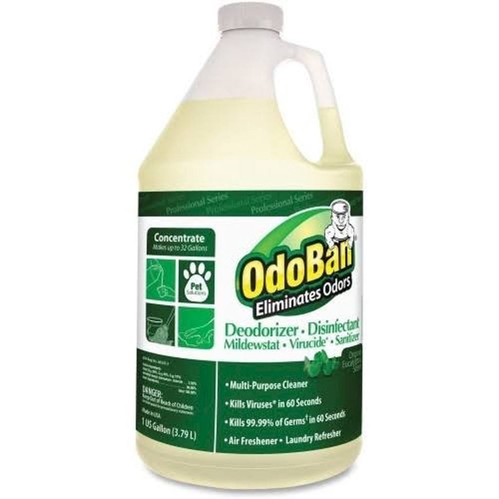 Concentrated Eucalyptus Multi-Purpose Cleaner Y190