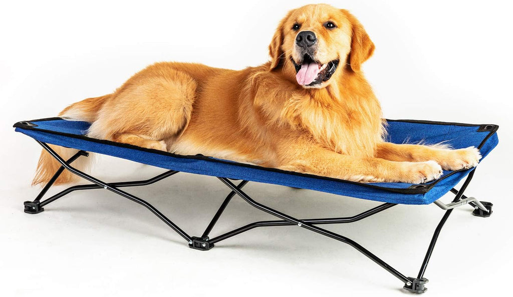 47 inches Elevated Dog Bed Cot with Breathable Mesh F29396