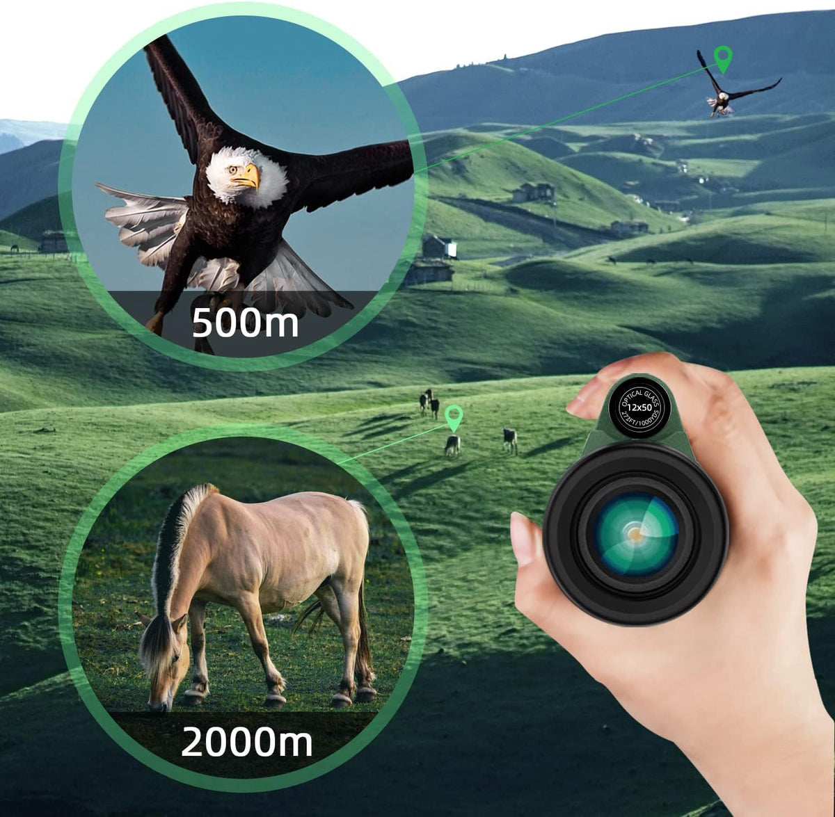12X50 Monocular Telescope with Smartphone Holder & Tripod Q944