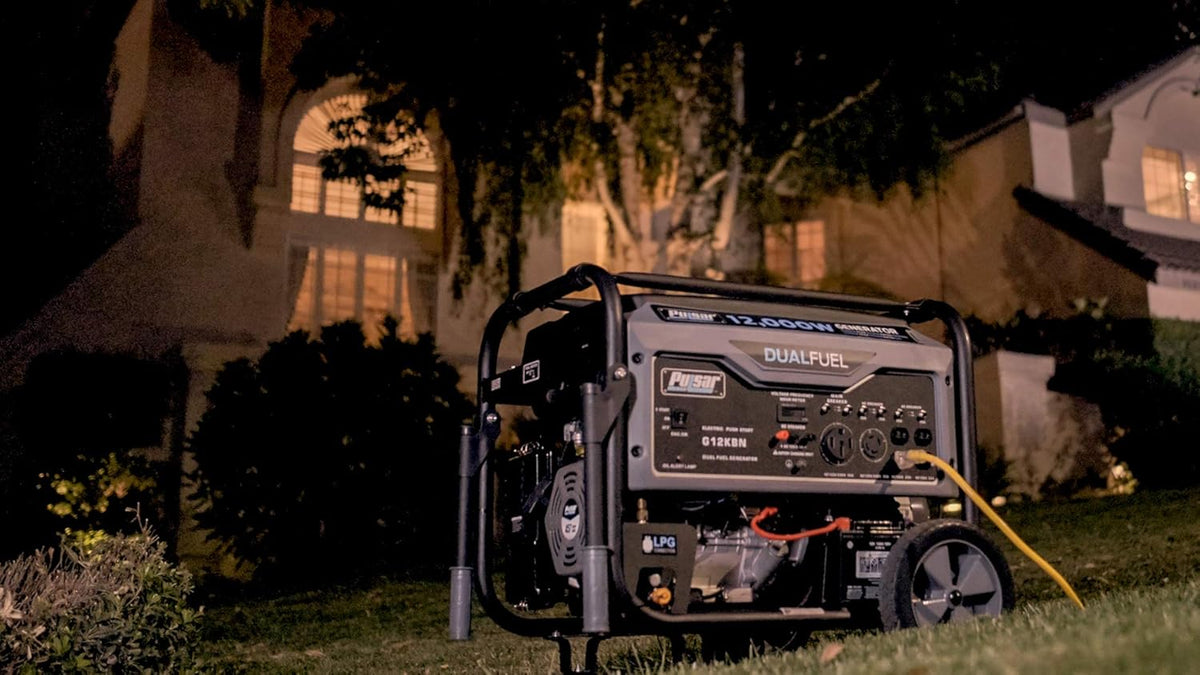 Heavy Duty Portable Dual Fuel Generator 9500 Rated Watts 12000 Peak Watts Q662
