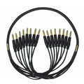 15 ft. TRS-TRS Cable P754