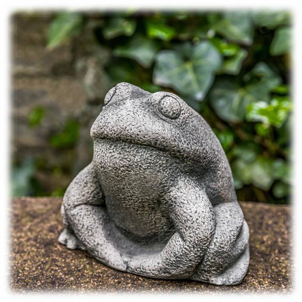Stone Frog T567655