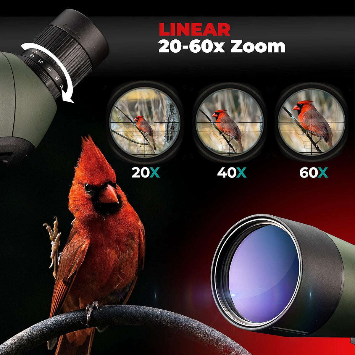 20-60x80 Spotting Scope with Tripod R340142