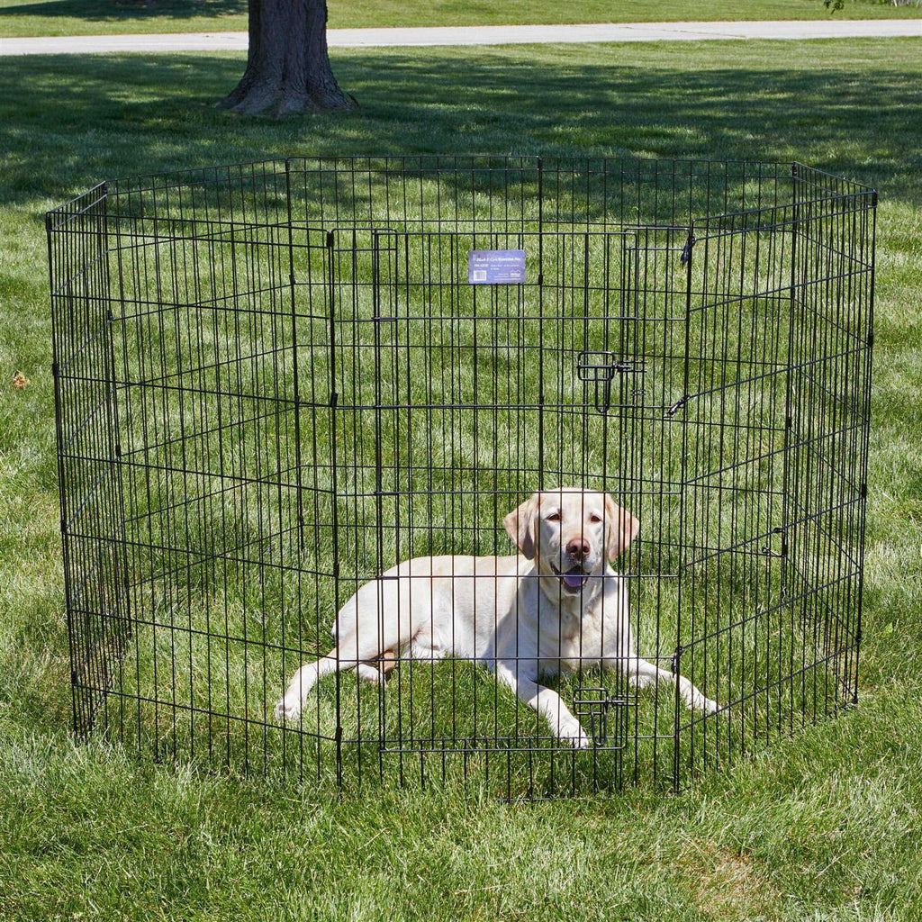 Black Exercise Pen with Door C883