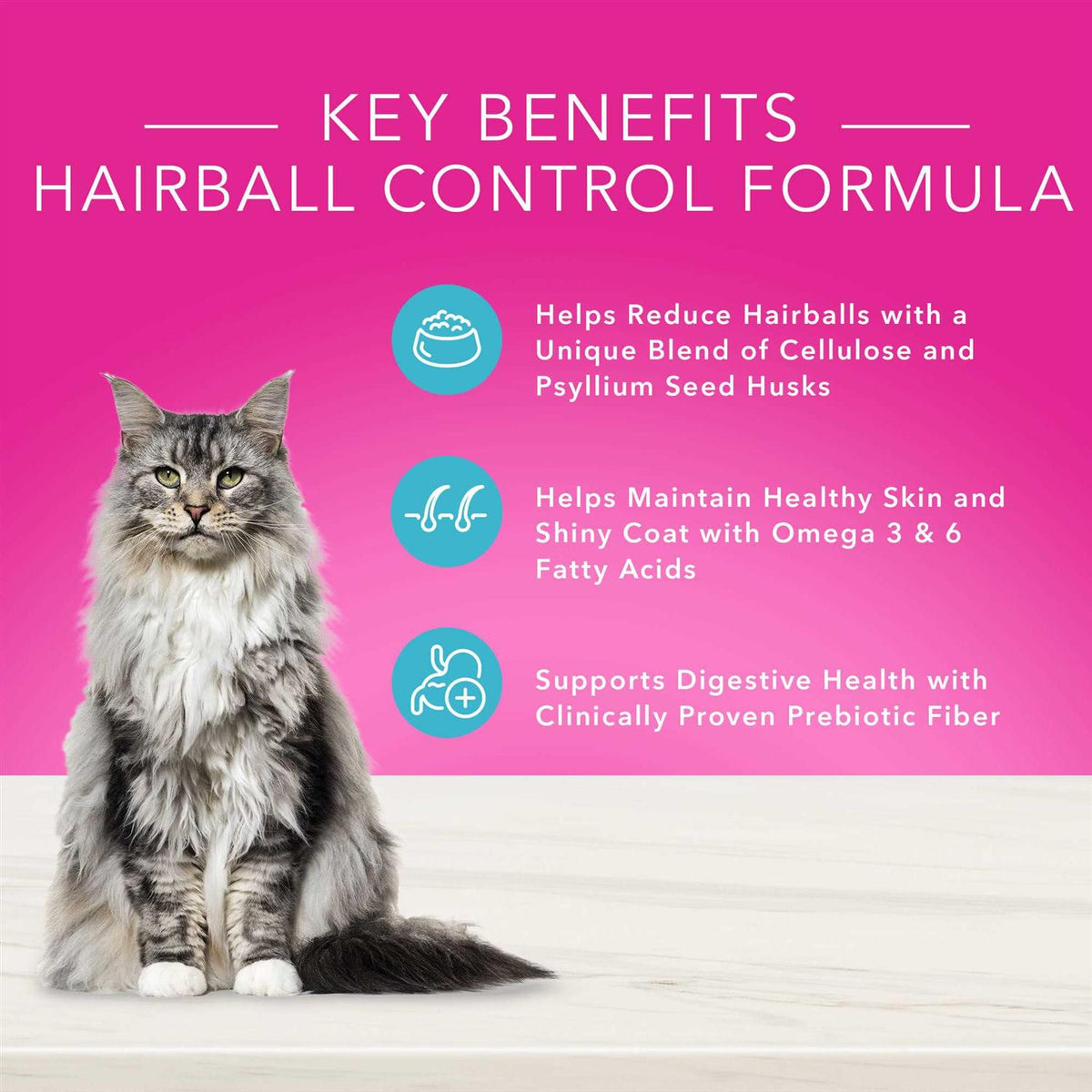 Natural Adult Dry Cat Food C403