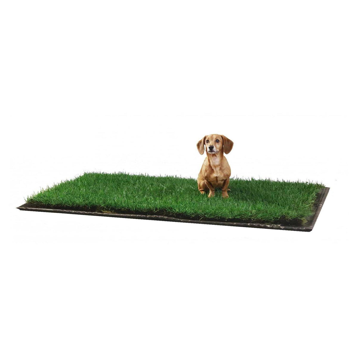 Dog Potty Real Grass C733
