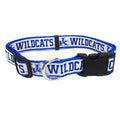 Pet Collar D2249