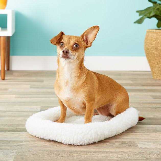 Pet Bed Q117655
