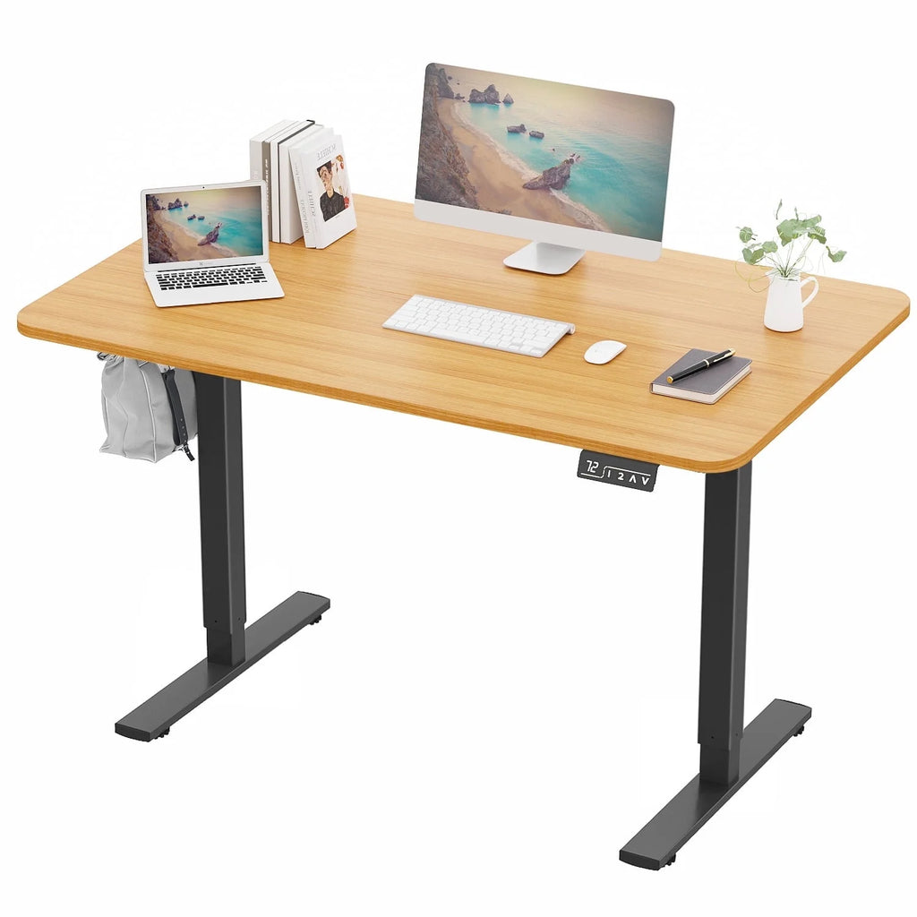 Electric Height Adjustable Standing Desk E568