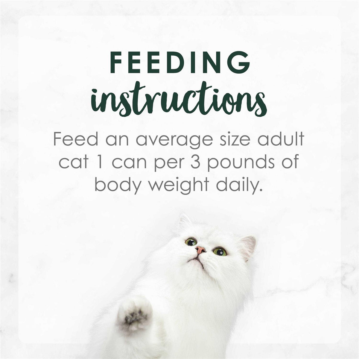 Wet Cat Food J72969