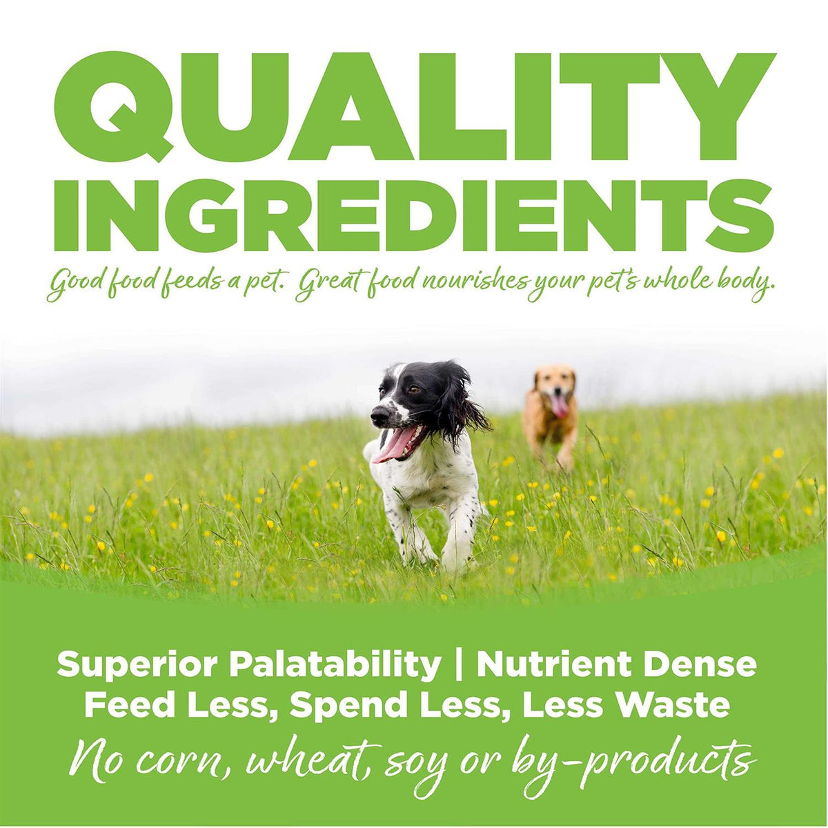Chicken Weight Management Dry Dog Food G476143