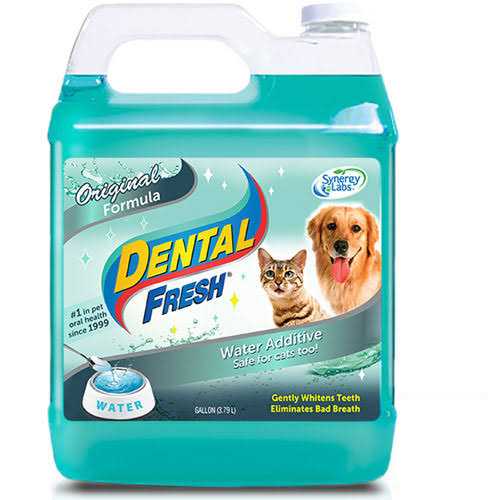 1 Gallon Dental Fresh S893