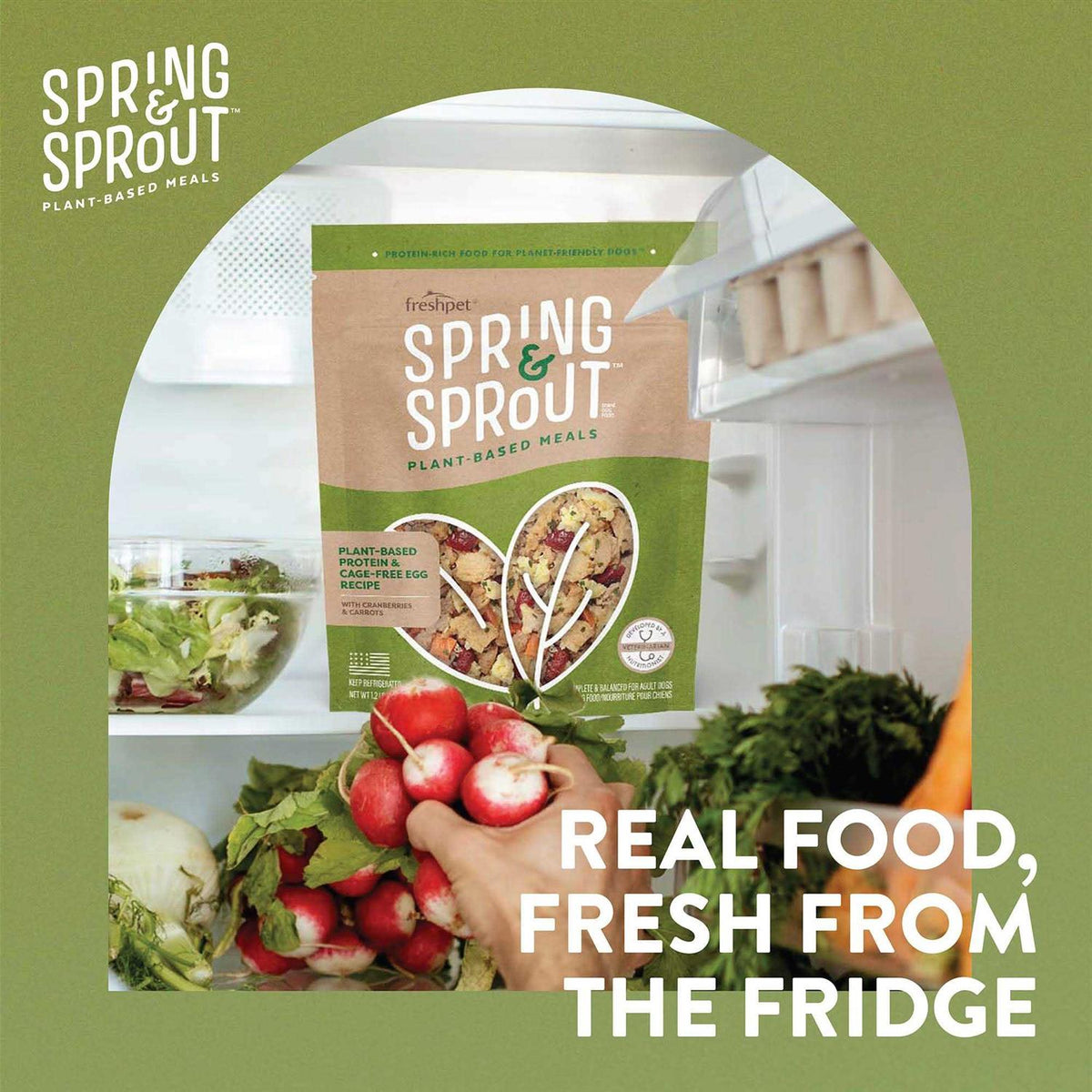 Plant-Based Protein & Cage-Free Egg Dog Food D8245