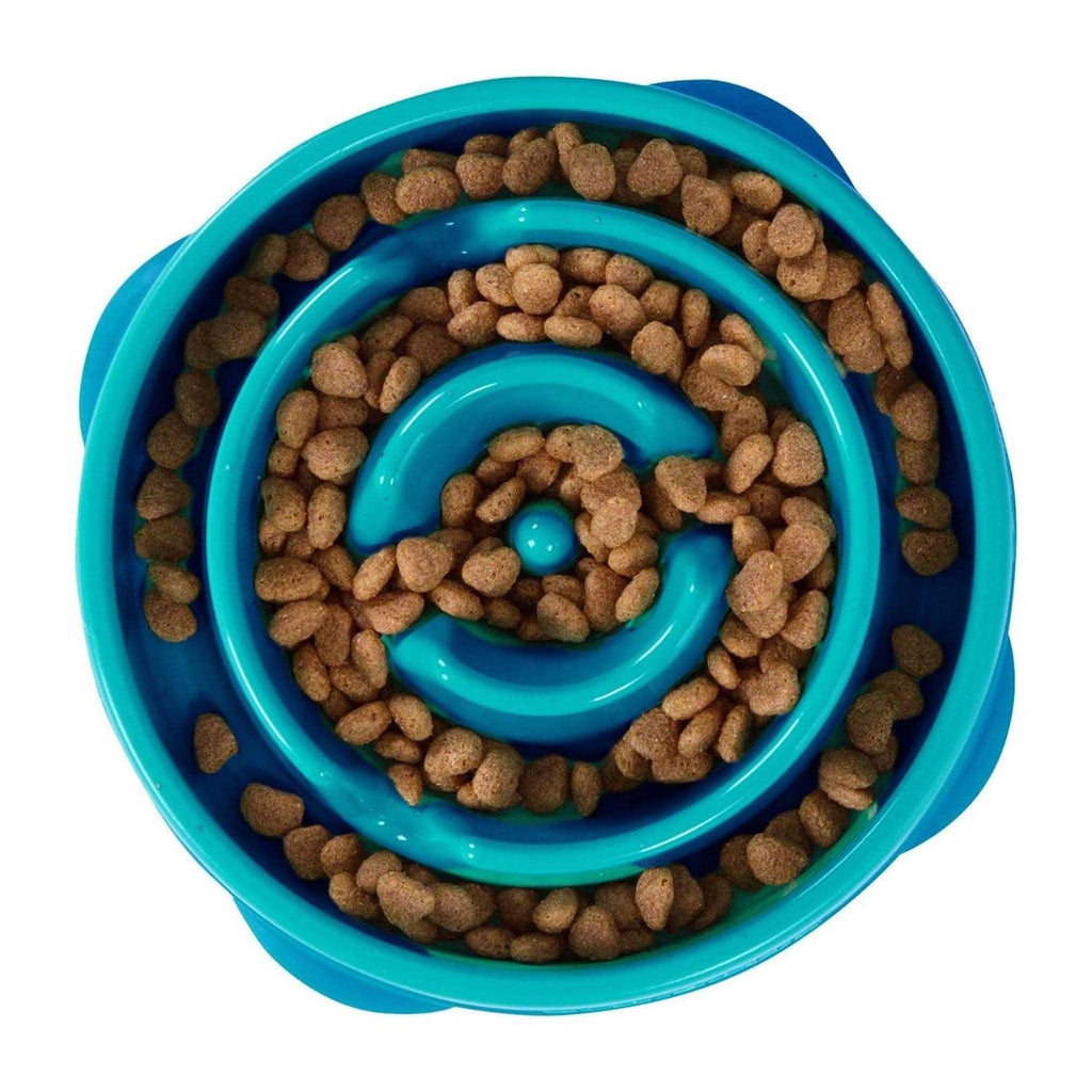 Fun Feeder Bowl Y81809