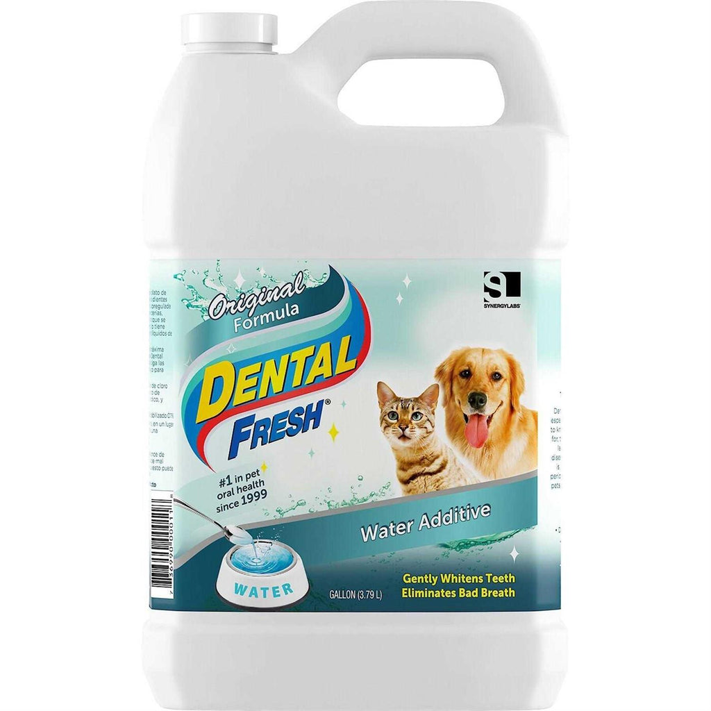 1 Gallon Dental Fresh S893