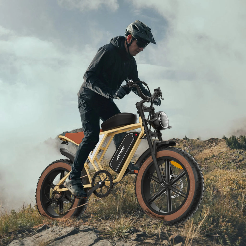 20" Fat Tire 750W Electric Bike with Dual Battery 7-Speed X3289