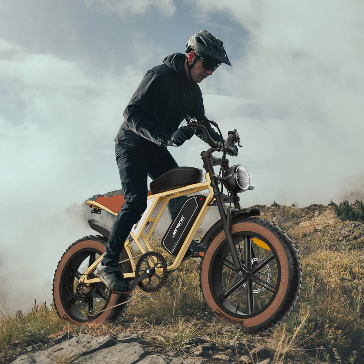 20" Fat Tire 750W Electric Bike with Dual Battery 7-Speed X3289
