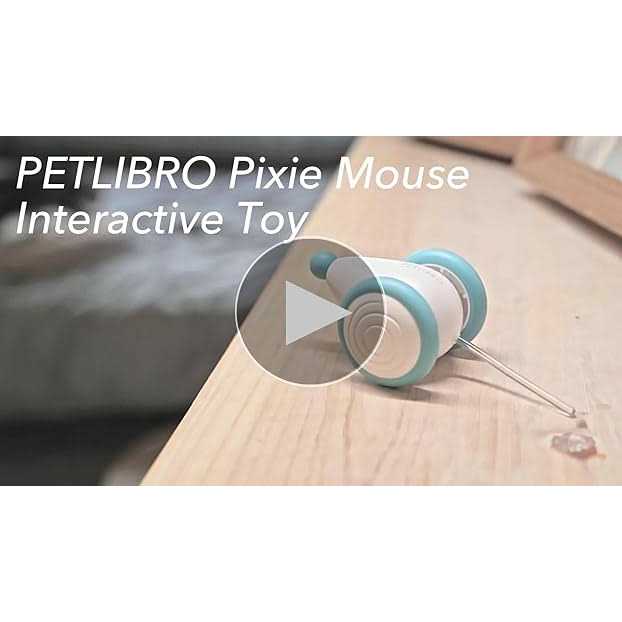 Interactive Cat Toys with LED Lights O757911