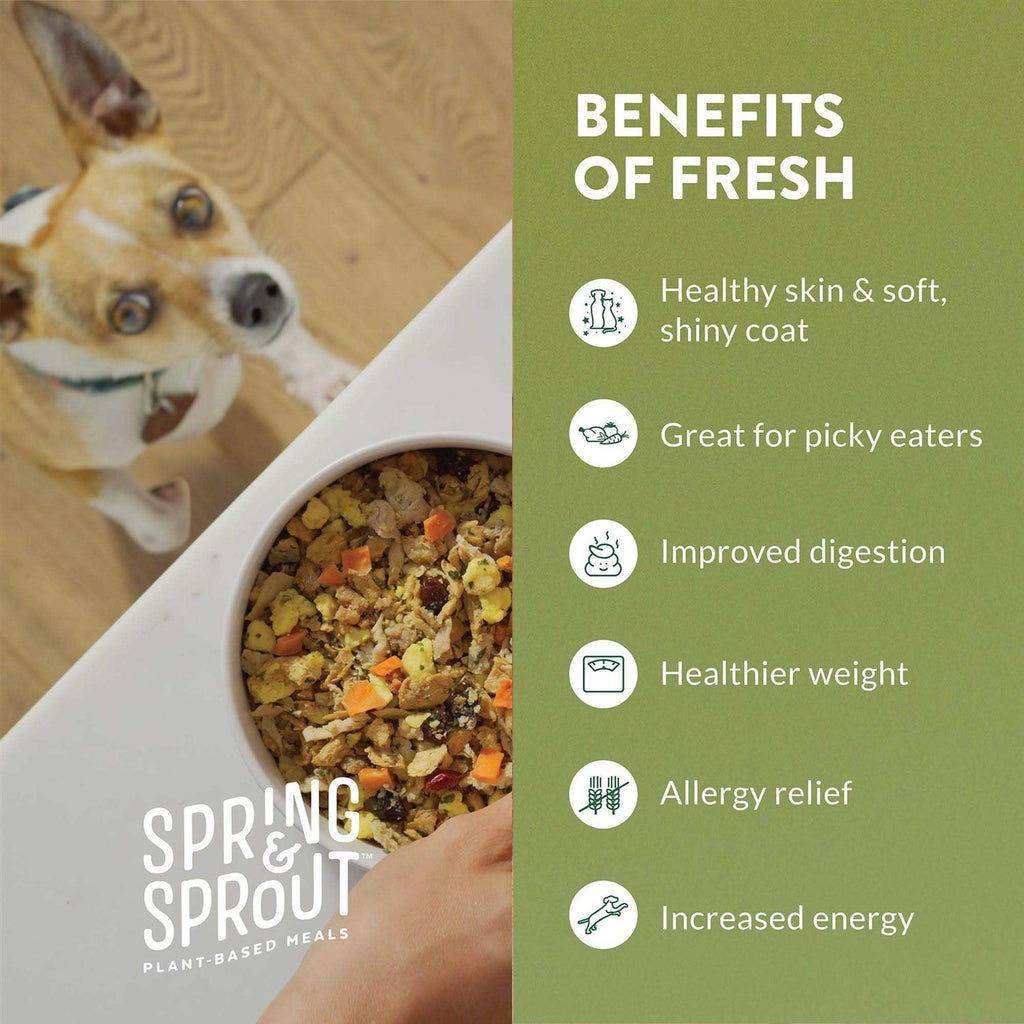 Plant-Based Protein & Cage-Free Egg Dog Food D8245