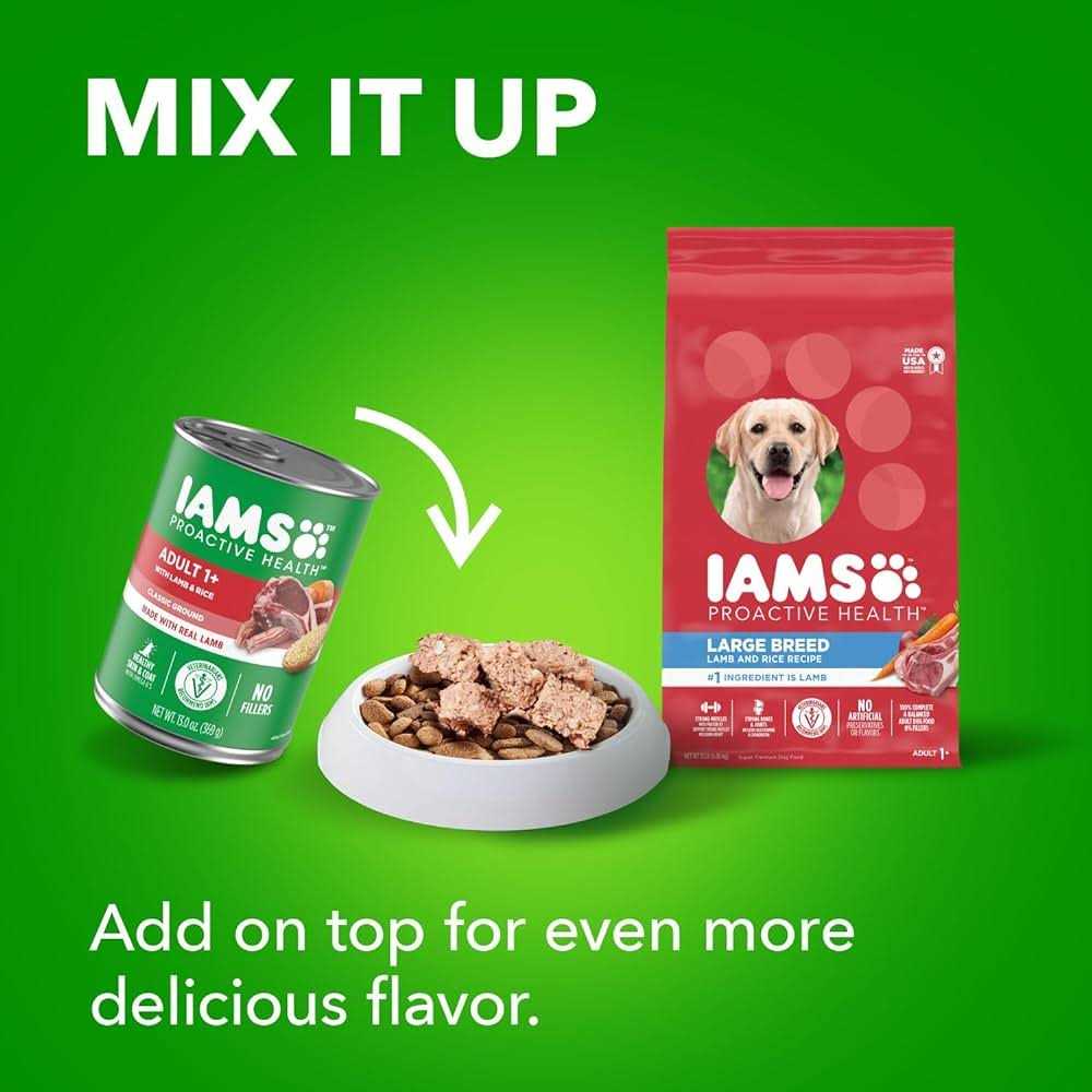 Large Breed Adult Dry Dog Food Lamb & Rice O50823