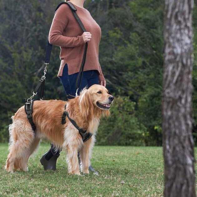 Dog Harness A87838