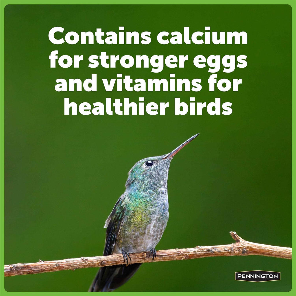 Hummingbird Food No Artificial Dye W601