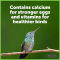 Hummingbird Food No Artificial Dye W601