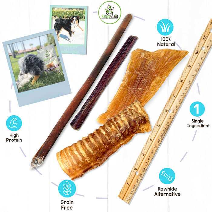 Natural Dog Chews Variety Pack P32357