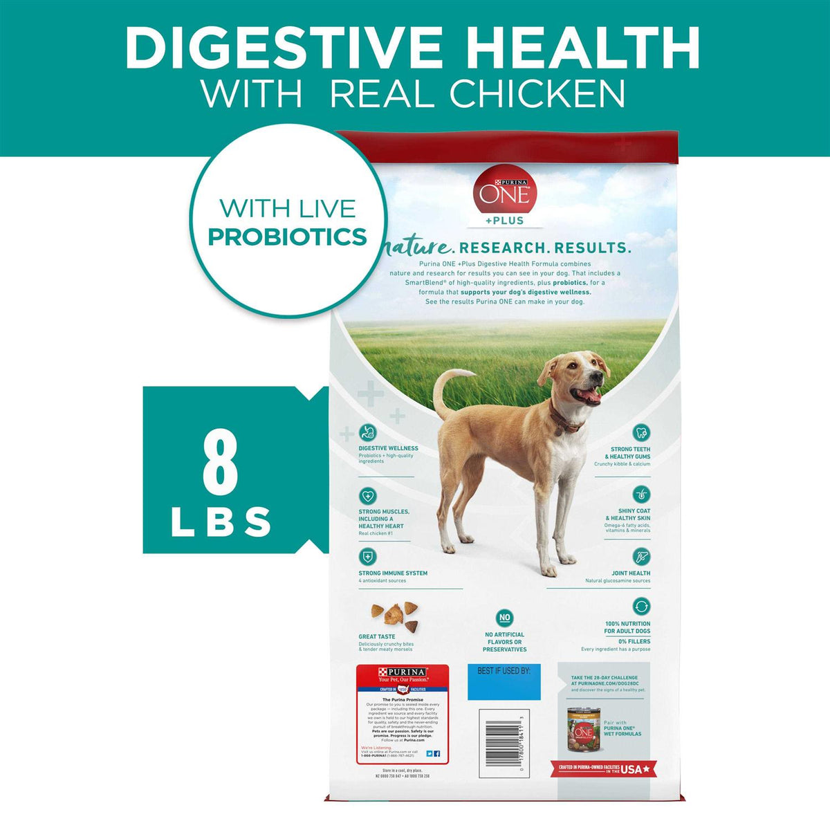 Dry Dog Food K1661