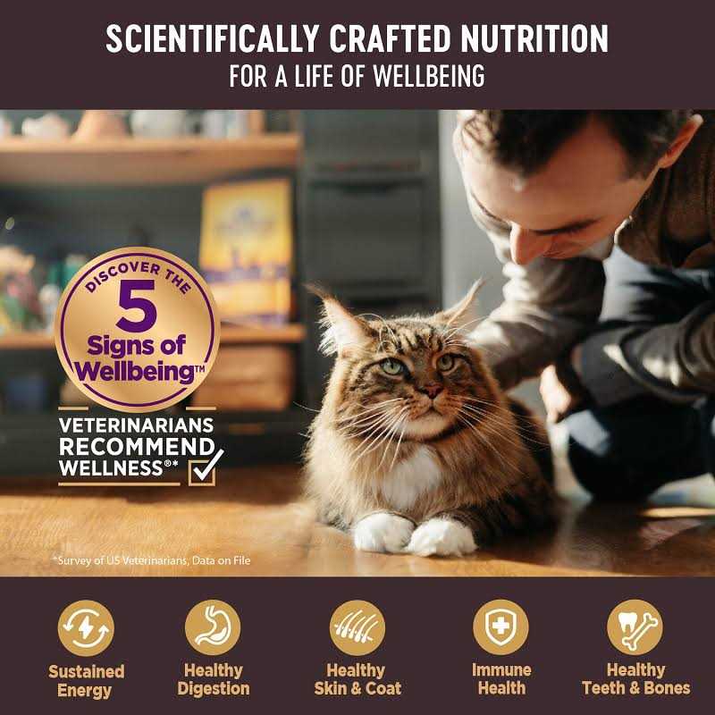 Grain Free Canned Cat Food U88203