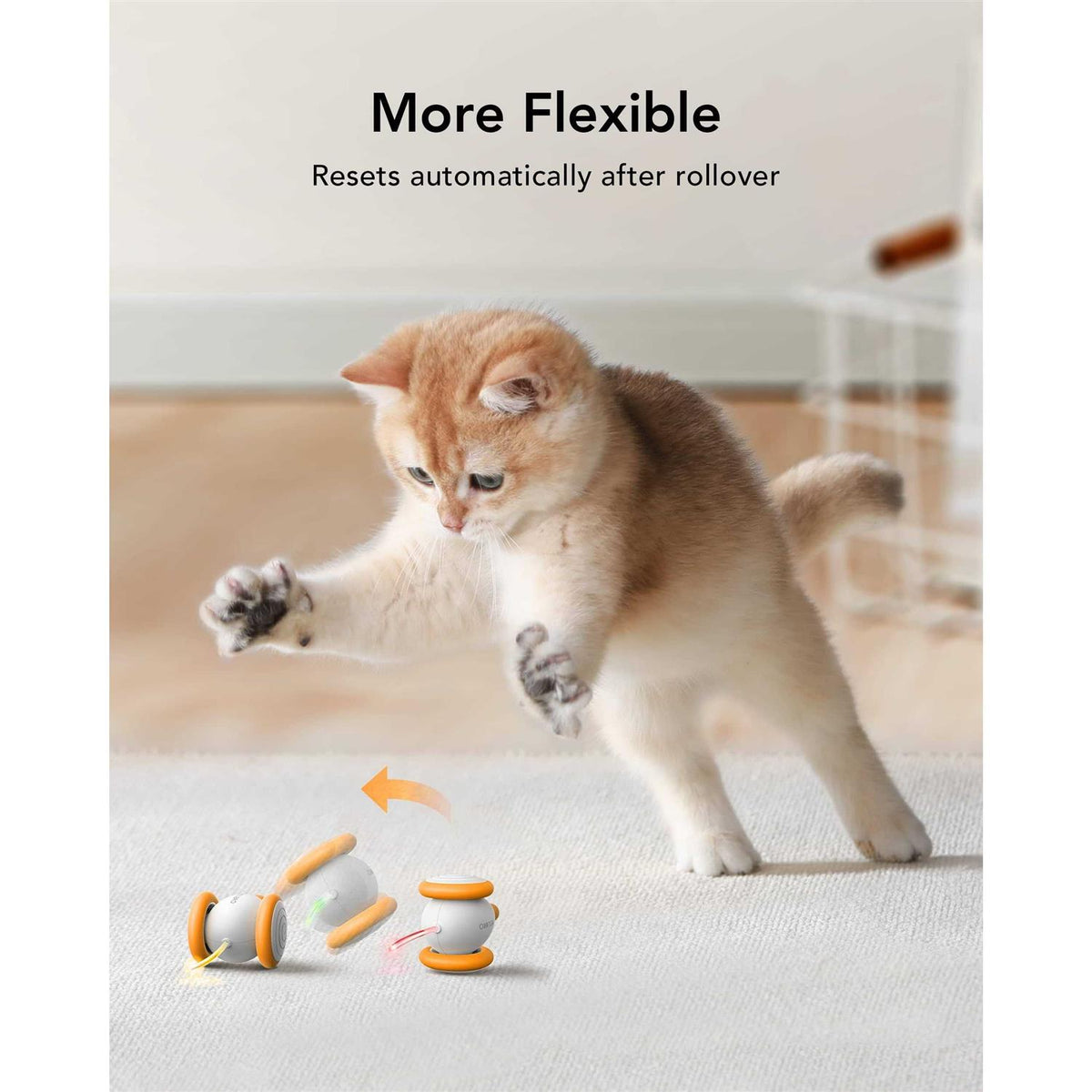 Interactive Cat Toys with LED Lights O757911
